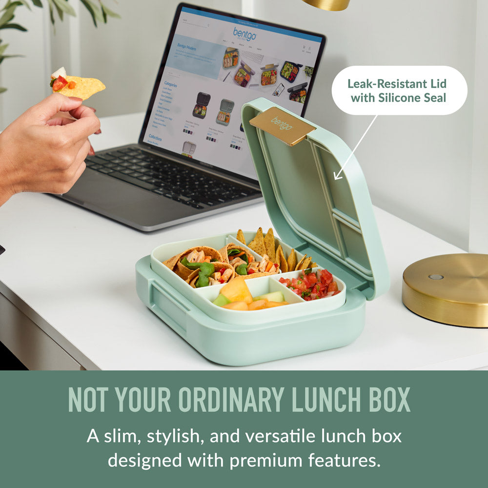 bentgo-modern-lunch-box-2-pack-p4 BGOMDN-MG_2_98ca6fcb-06f0-46cf-b72c-8f9c44372257.jpg