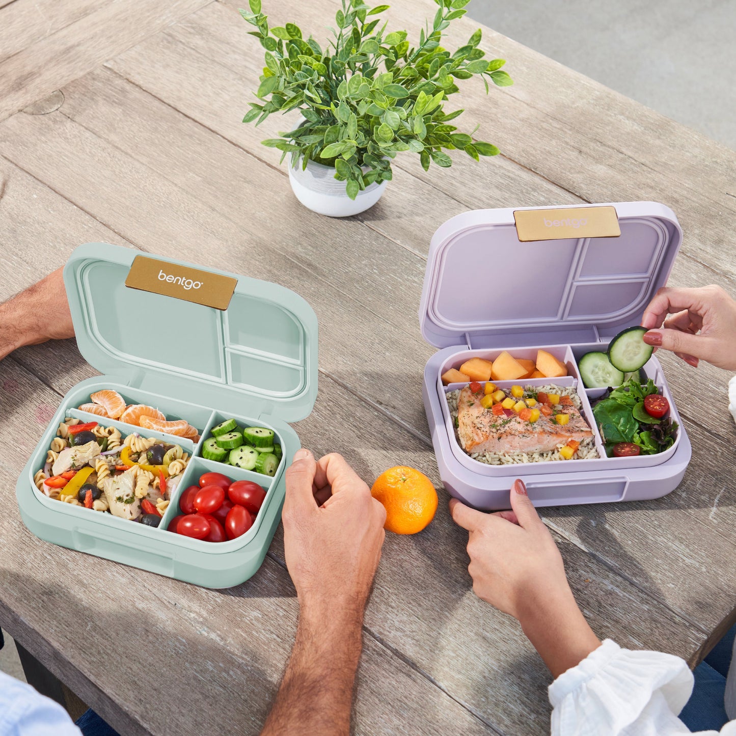 bentgo-modern-lunch-box-2-pack-p4 COSTCOBMCPRODUCTIMAGE_2.jpg